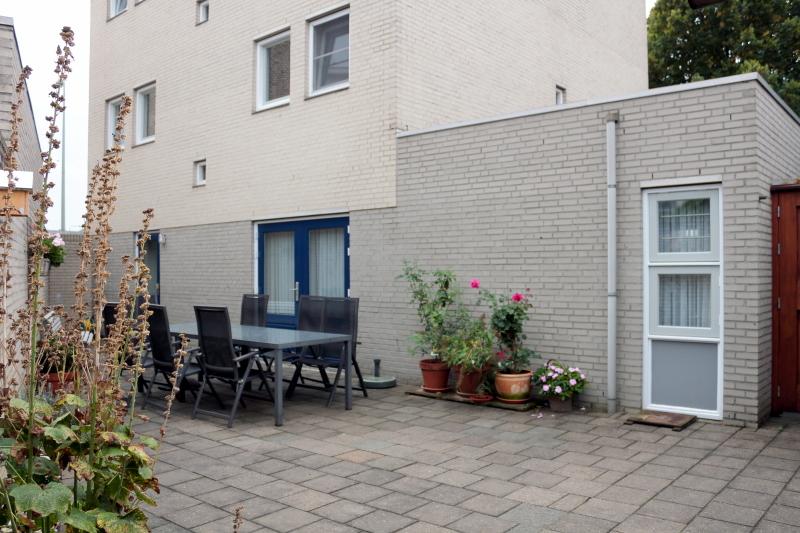 De achtertuin
