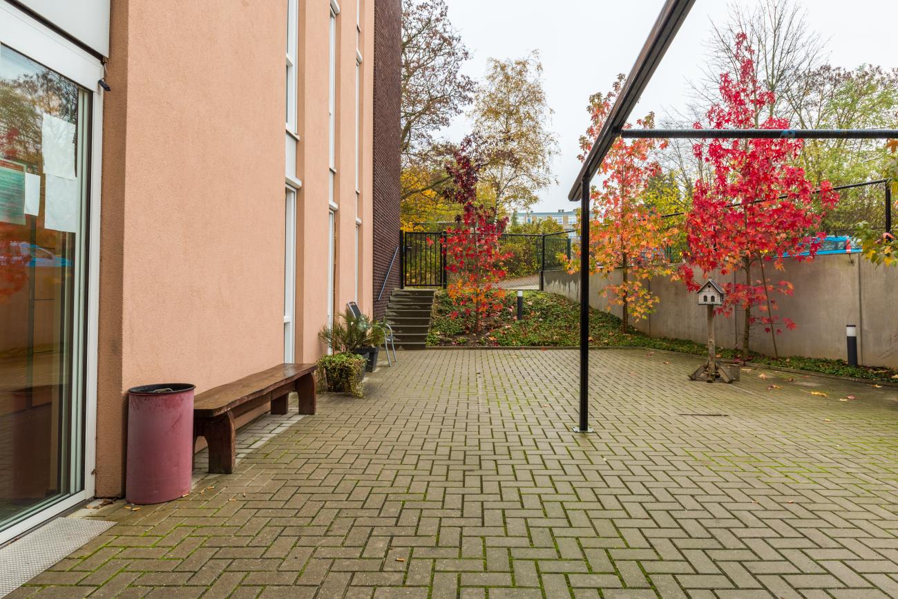 De tuin in de herfst